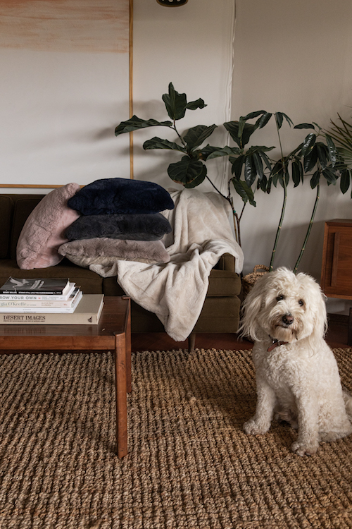 07-01-20-Unhide-Product-Shoot-364