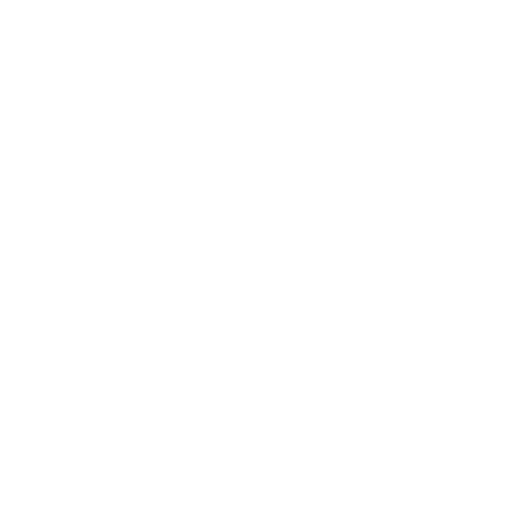 Logo-White-Icon-Wink